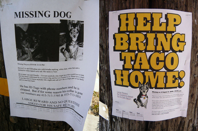 Before and after the flyer redesign