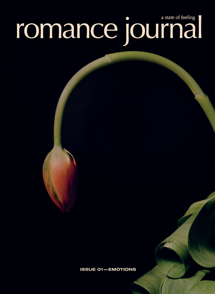 Romance Journal #1 “Emotions” 1