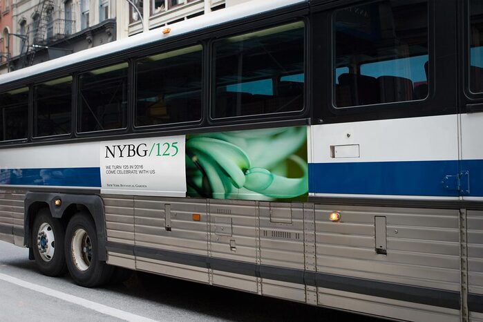 NYBG identity (2016) 4