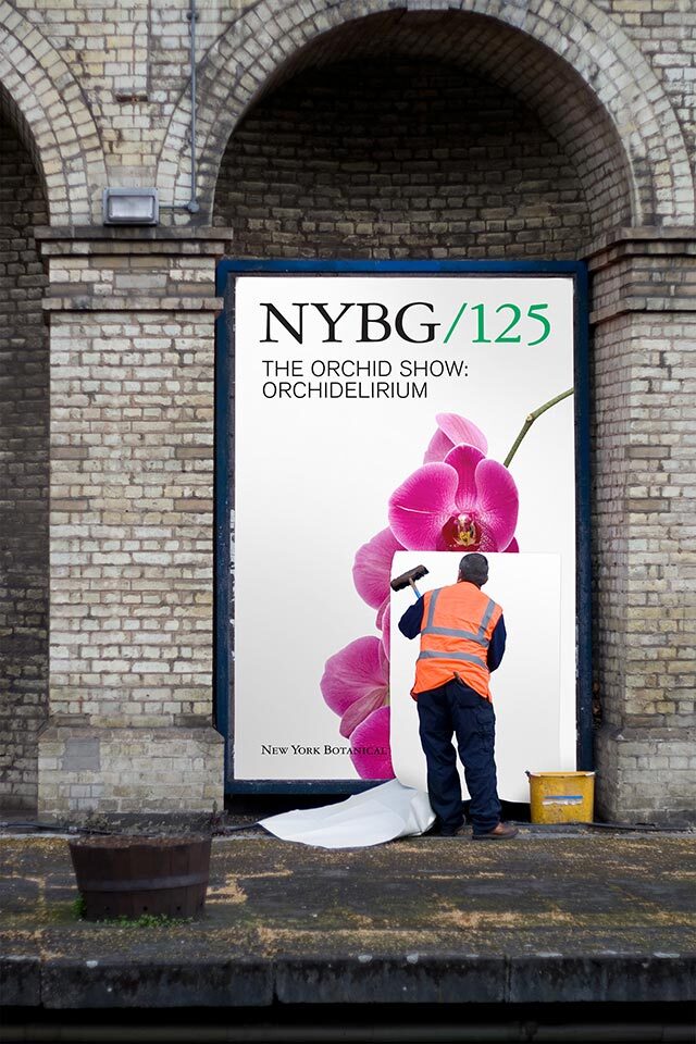 NYBG identity (2016) 5