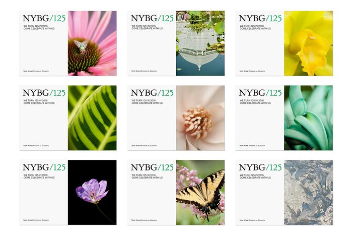 NYBG identity (2016) 7