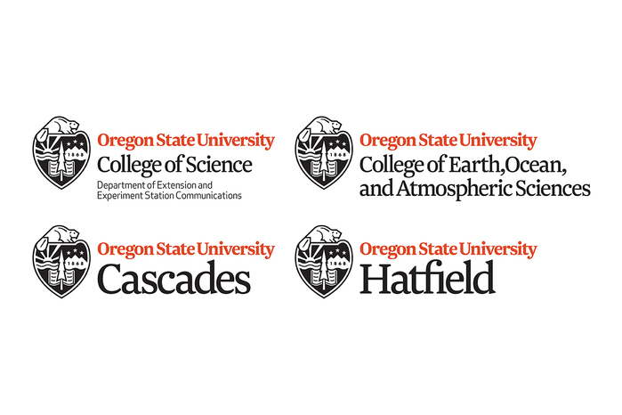 The new identity system uses the Roman typeface Newzald to unify the university’s colleges and sister campuses.