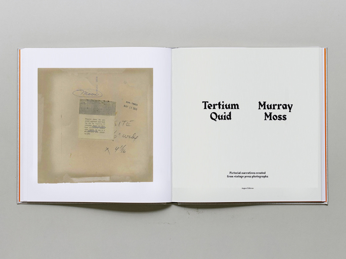 Tertium Quid by Murray Moss 2