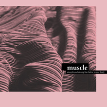 <cite>Muscle</cite>