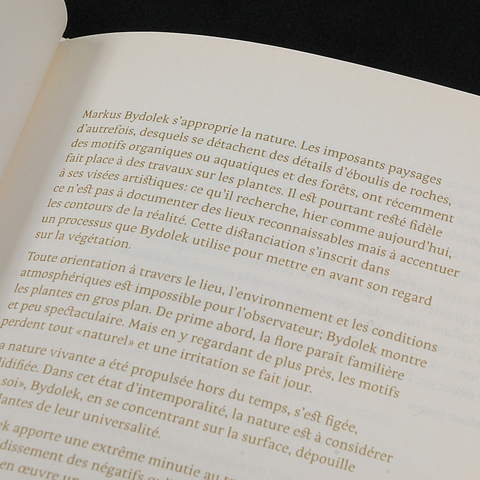 Robert Schuman Art Prize 6