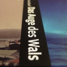 <cite>Das Auge des Wals</cite> by Arthur Krasilnikoff