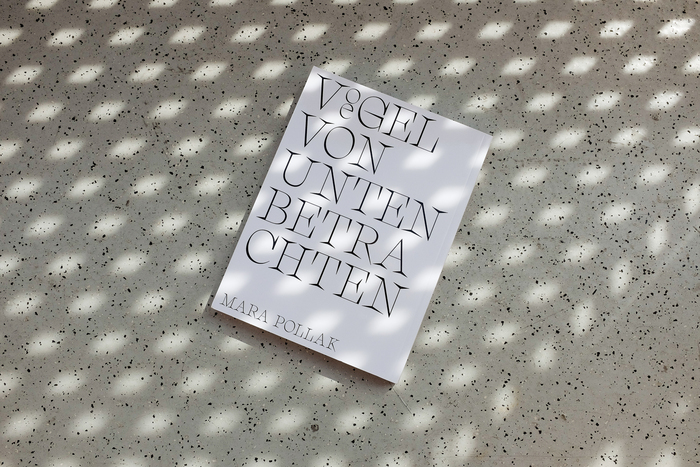 Vögel von unten betrachten 5