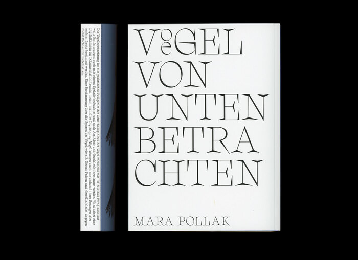 Vögel von unten betrachten 1