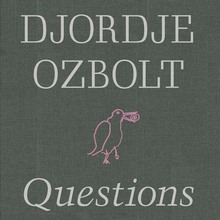 <cite>Questions of Faith </cite>by Djordje Ozbolt