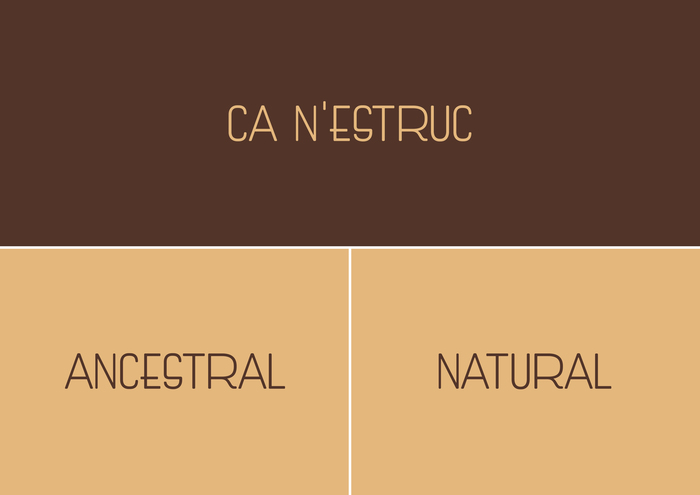 Ca n’Estruc BI 11