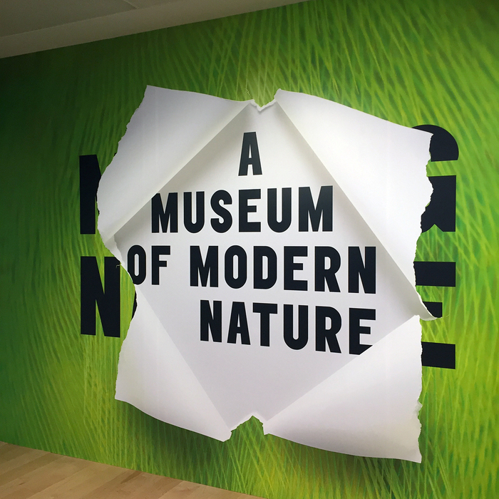 A Museum of Modern Nature exhibition 4