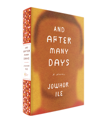 <cite>And After Many Days</cite> by Jowhor Ile