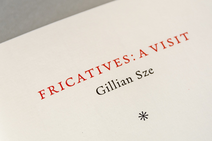 Fricatives by Gillian Sze 3