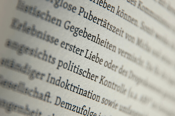 Die Mühen der Ebenen 4