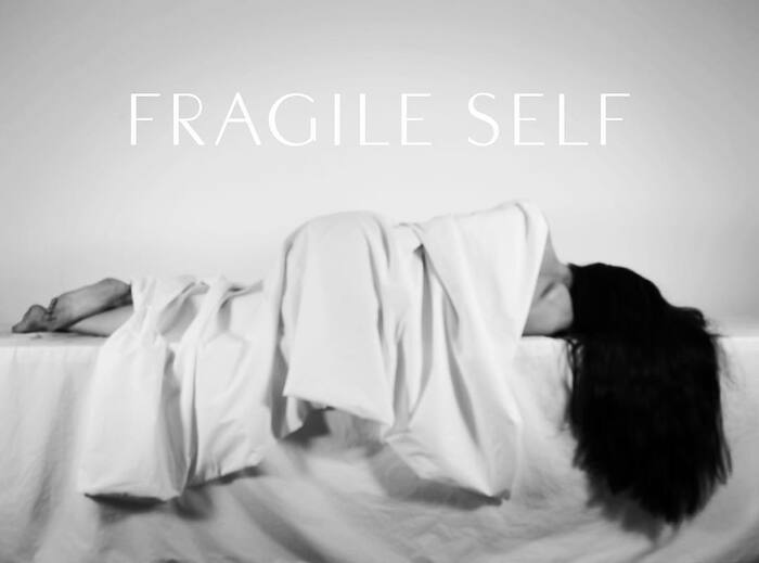 Fragile Self identity and artwork 1