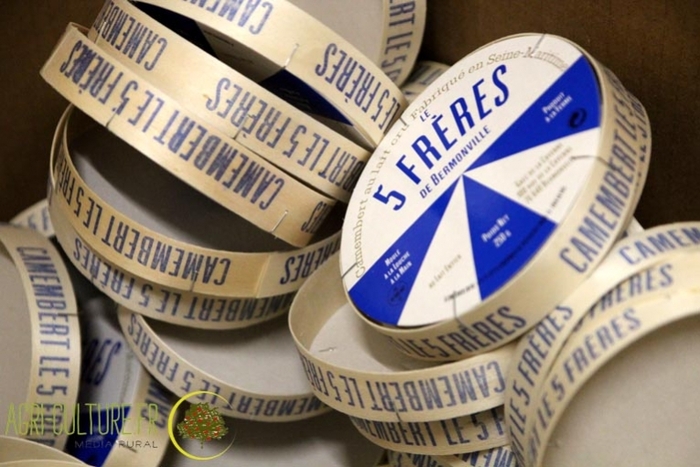 The brand name set in Antique Gothic is also printed on the wooden side of the box.