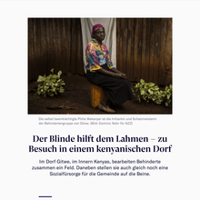 NZZ.ch (2017 relaunch)