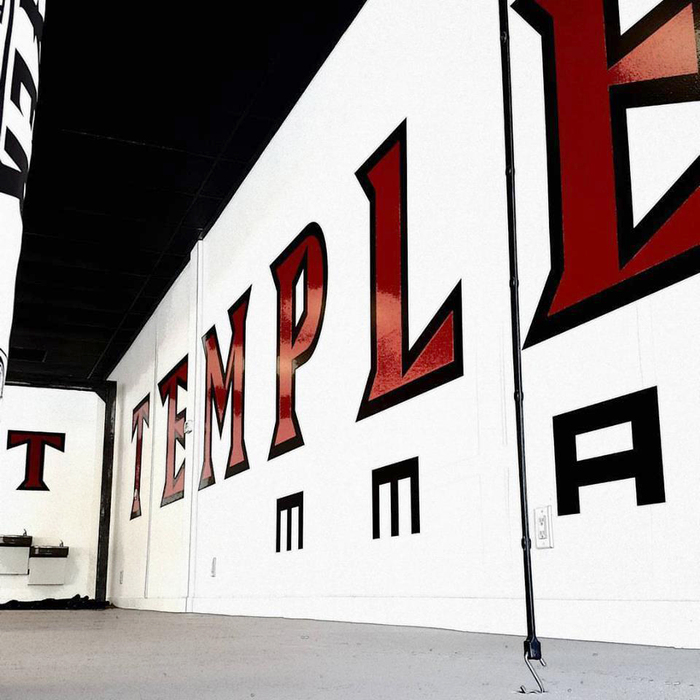 Temple MMA fitness club 1