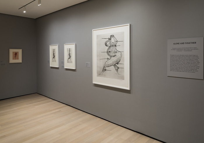 Louise Bourgeois — An Unfolding Portrait 7