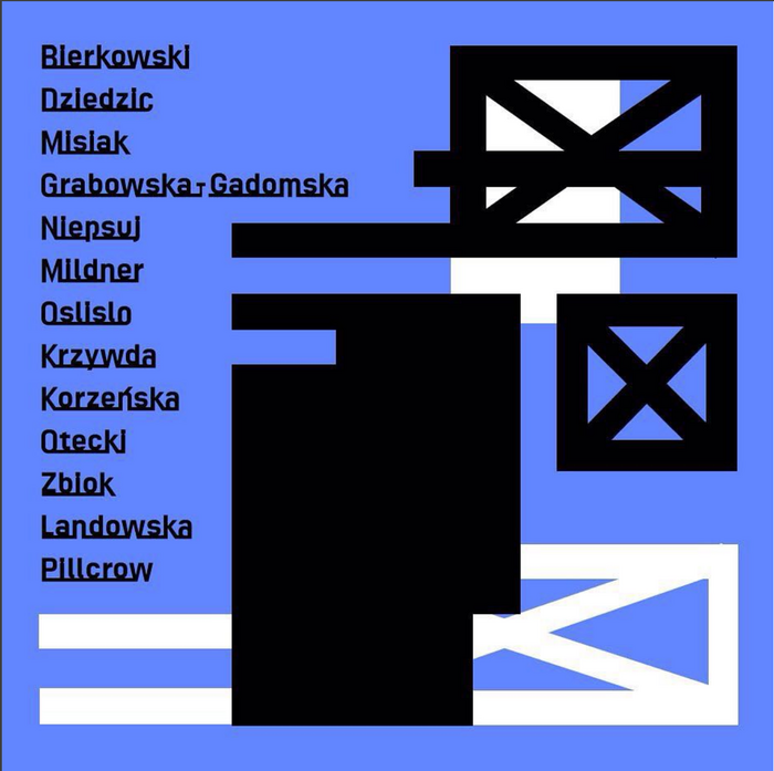 Kopublikacja 10