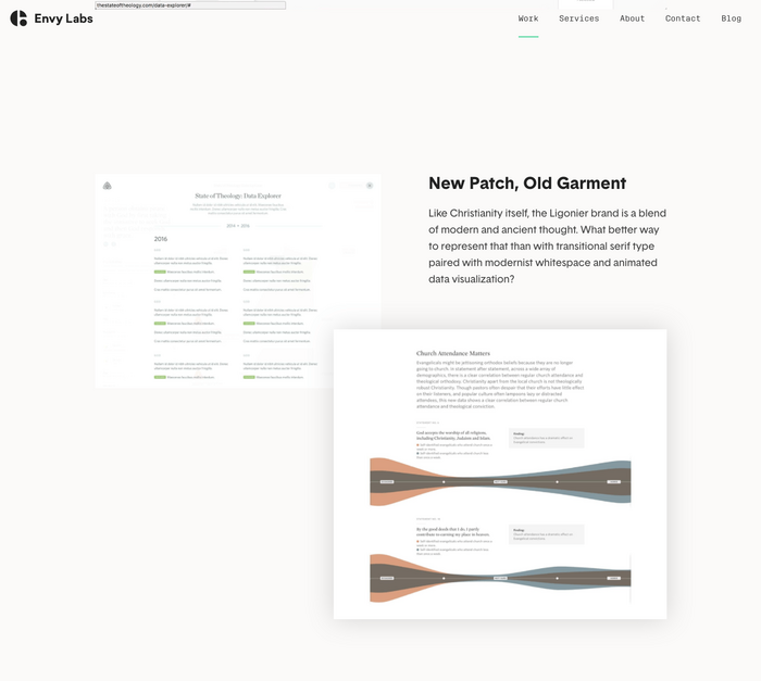 Envy Labs website 6