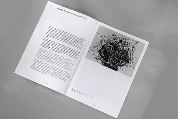 Albert Renger-Patzsch – Things 8