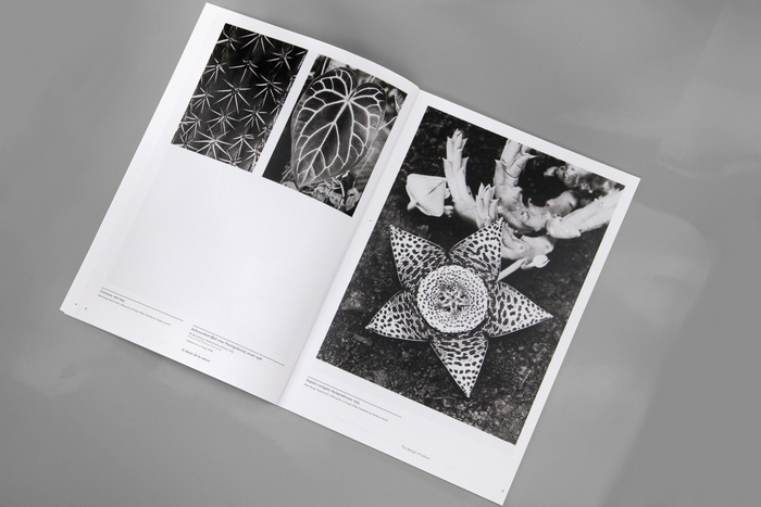 Albert Renger-Patzsch – Things 7