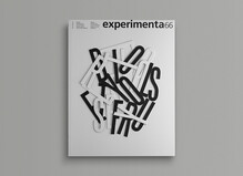 <cite>Experimenta</cite> #66