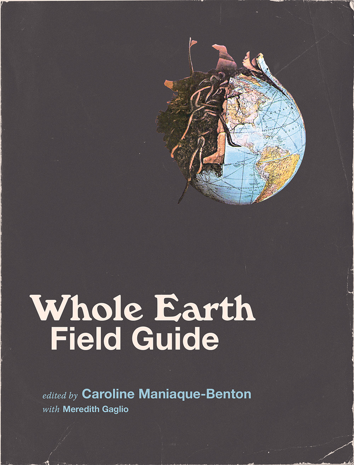 The hardcover edition stays closer to the original: “Whole Earth” here is set in Windsor.