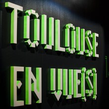 Toulouse en vue(s)