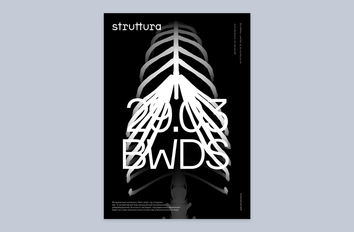 Struttura 4