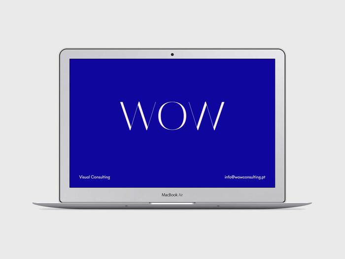 WOW Visual Consulting 2