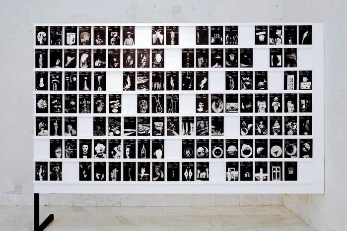 A Shelf for Lothar, installation by Wayne Daly and Adrien Vasquez showing 115 of the 279 published titles of the Spektrum series, exhibited at the 27th Brno Biennial 2016