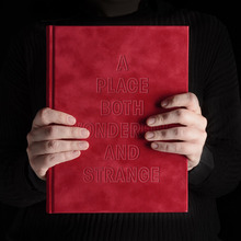 <cite>A Place Both Wonderful and Strange</cite>