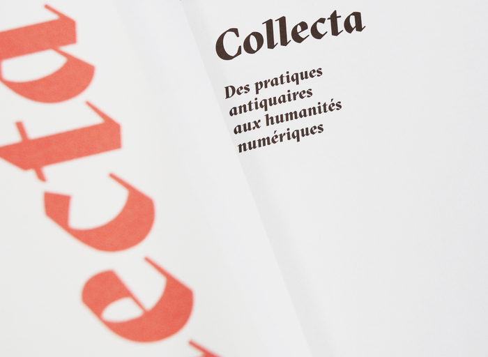 Collecta 8