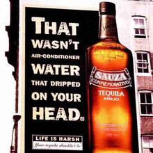 Sauza Tequila