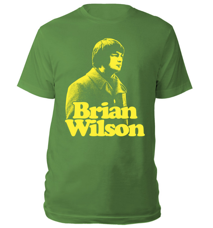 Pet Sounds 50th Anniversary Tour 3