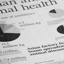 Animals & meat, an overview