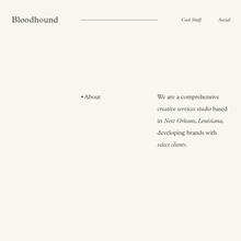 Bloodhound Studio