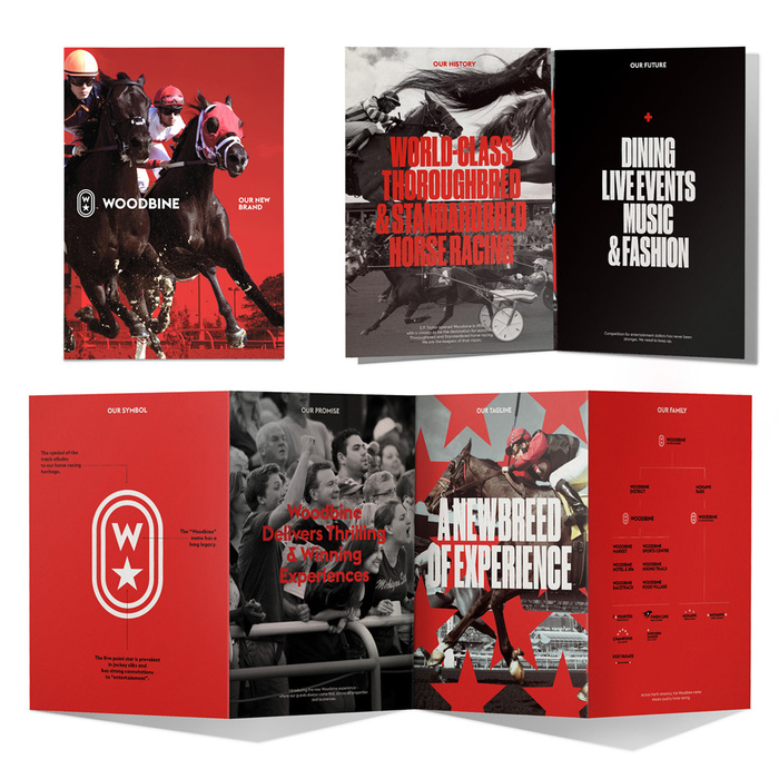 Woodbine rebranding 6