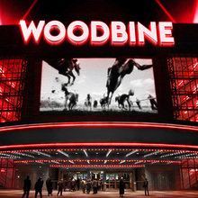 Woodbine Rebranding