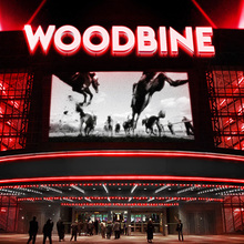 Woodbine rebranding
