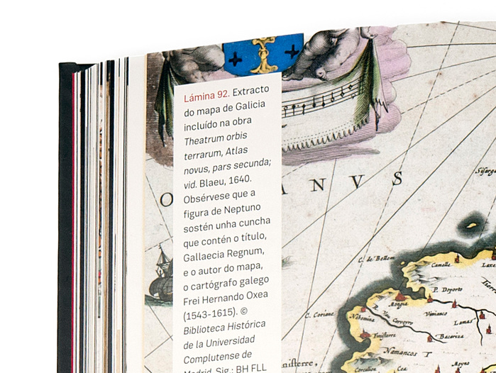 Flor de Santiago by Ruth Varela 8