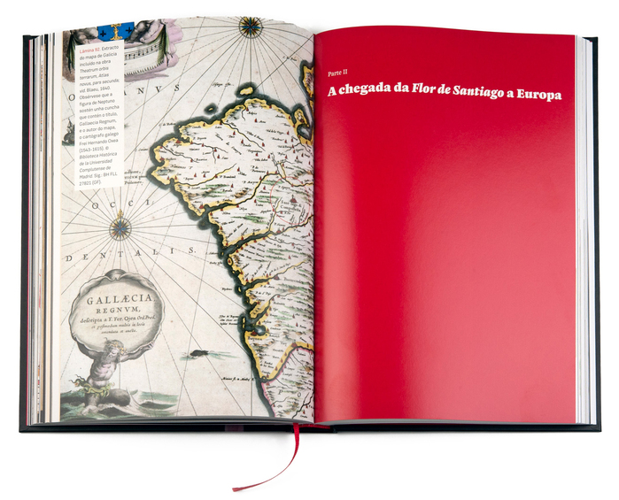 Flor de Santiago by Ruth Varela 7