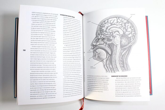 Distilleren – De kunst van het ruiken 6