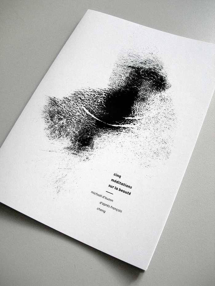 Cinq méditations sur la beauté 2