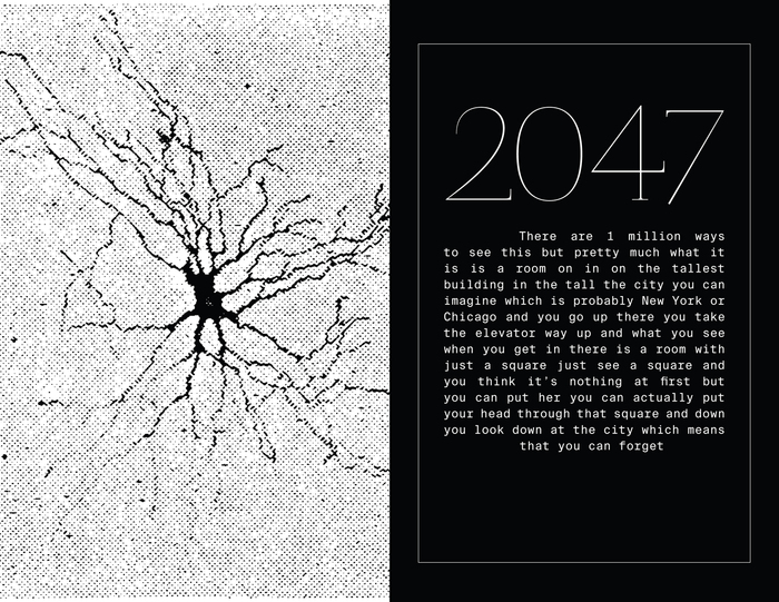 Sunday Paper, Issue 03 8