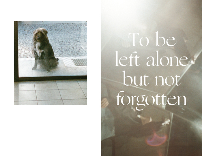 Sunday Paper, Issue 03 12