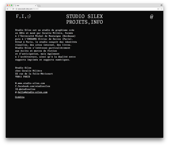 Studio Silex website/identity 6