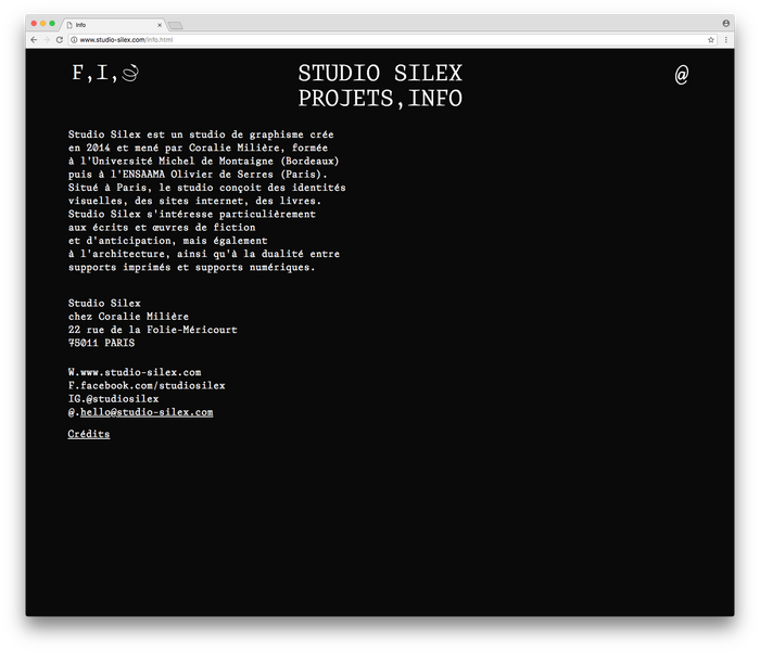Studio Silex website/identity 6